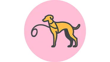 Keeping Your Dog Company